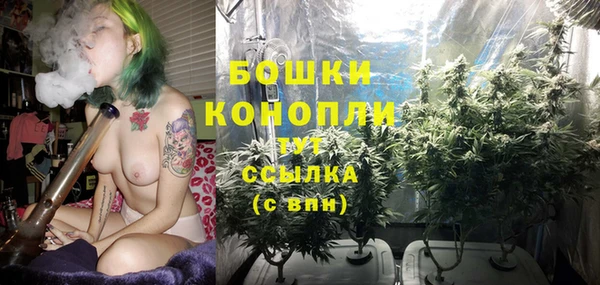 бошки Вязьма